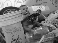 /album/fotogaleria/dsc00215-copia-copia-copia-jpg/